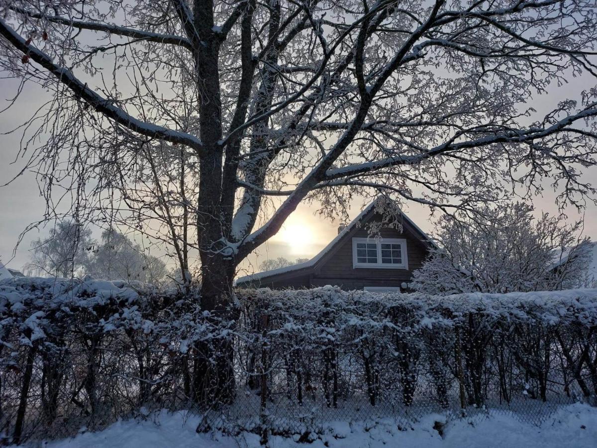 Namins Pie Juras Villa Lapmežciems Exteriör bild